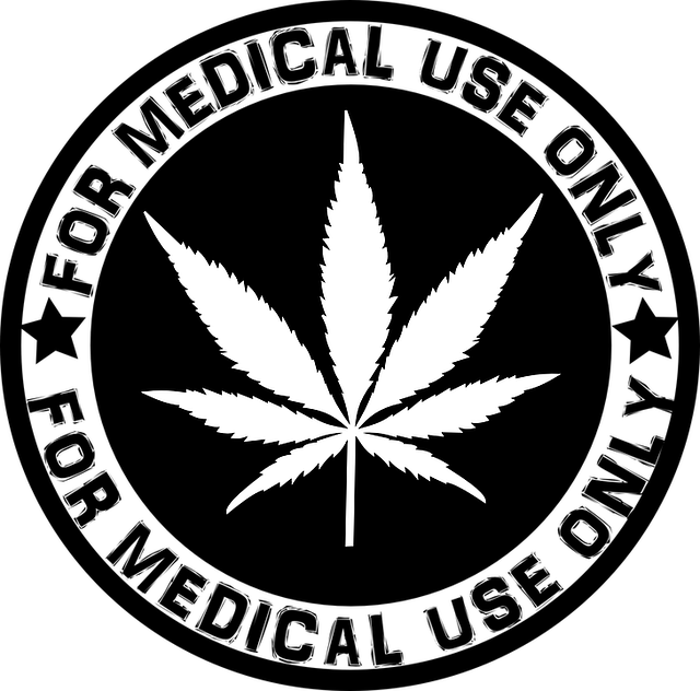 medical cannabis travel
