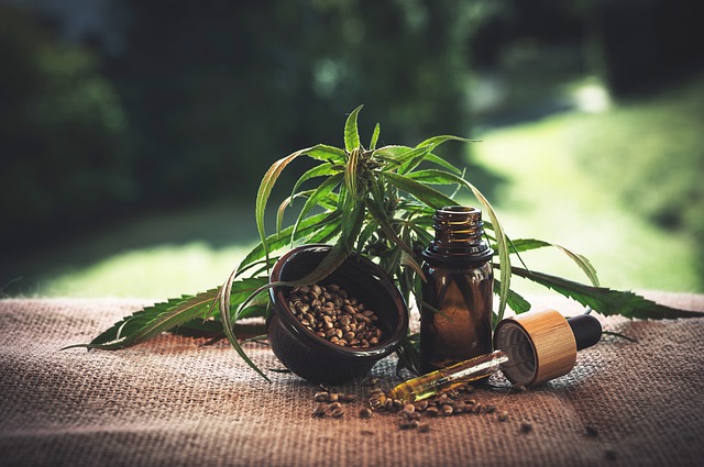 travel with MMJ card